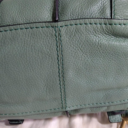 Genuine Preowned Chloe Paddington Rare Color mini